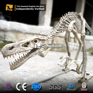 Mi <span class=keywords><strong>dinosaurio</strong></span> Parque Jurásico <span class=keywords><strong>esqueleto</strong></span> <span class=keywords><strong>Velociraptor</strong></span> resina fósil Artificial para la exposición del Centro <span class=keywords><strong>de</strong></span> Ciencia - Product Image 4
