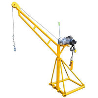 Mini grue électrique de levage de 100 à 1000 kg pour travaux de construction, équipement de chantier, bras de levage, à vendre