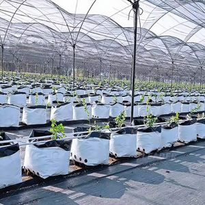 Beyaz plastik dikim torbaları hem iç hem de dış mekan ekimi için güvenli ve kirliliksiz - Product Image 6