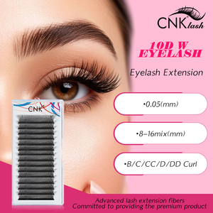 Extensiones de Pestañas Premade en Forma de W 10D, Venta al por Mayor OEM, Bandejas de Pestañas de <span class=keywords><strong>Volumen</strong></span> Mate para Artistas de Pestañas y Distribuidores - Product Image 3