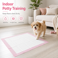 Protège-tapis jetables épaissis pour animaux de compagnie, absorbants et anti-fuites, pour l'apprentissage de la propreté des petits animaux