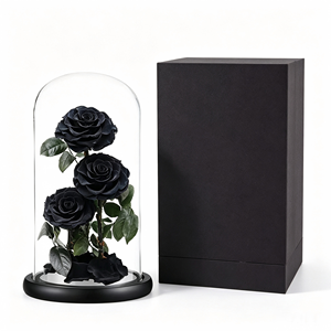 <span class=keywords><strong>Rosa</strong></span> Preservada en Cúpula de Cristal, Caja Cuadrada, Flor Eterna, La <span class=keywords><strong>Bella</strong></span> <span class=keywords><strong>y</strong></span> la <span class=keywords><strong>Bestia</strong></span>, Regalo para Halloween - Product Image 1