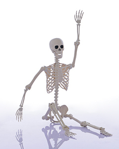 Esqueleto de Halloween Personalizado de 165 cm con Articulaciones Móviles, Huesos Humanos de Plástico para Decoración de Casas Encantadas y Exteriores - Product Image 3