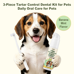 Dentifrice pour animaux de compagnie saveur bœuf, ensemble brosse à dents et dentifrice pour chat et chien, élimination du tartre pour petits chiens - Product Image 1