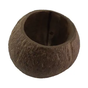 Ciotole di cocco riutilizzabili realizzate con vere conchiglie di cocco