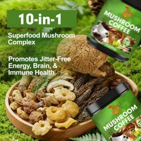 Mélange de café aux champignons en gros pour adultes : soutient l'immunité, l'énergie et la concentration, avec des bienfaits antioxydants