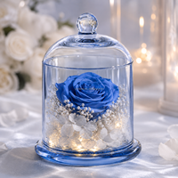 Trendige Deko Großhandel Konservierte Rose unter Glaskuppel mit LED-Licht Mini Ewige Blume Geschenk für Valentinstag Geburtstag