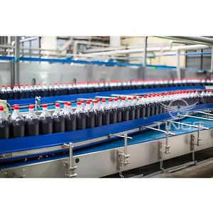 Ligne d'embouteillage pour boissons gazeuses boissons gazeuses sodas eau pétillante produisant remplissage étiquetage système d'emballage Machine fabricant