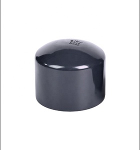 Industrial And Chemical Water Supply And Drainage Pipe Fittings With Pipe Inserted Into The Head Pipe Plugs And Blind Cove