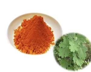 באיכות גבוהה macleaya תמצית 40% אבקת <span class=keywords><strong>sanguinarine</strong></span> - Product Image 6