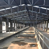 Structure en acier préfabriquée pour poulailler commercial, conception de bâtiment pour élevage de poulets de chair et de poules pondeuses