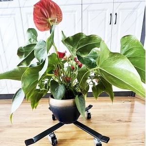 Регулируемая подставка для растений колеса для тяжелых условий эксплуатации металлического железа горшка двигатель подвижный цветок плантатор горшок стенд салазка лоток для грузчиков - Product Image 5