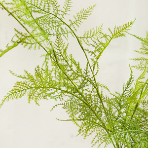 Feuillage artificiel en plastique souple au toucher réel, type fougère et <span class=keywords><strong>asperge</strong></span>, pour la décoration florale d'hôtels et de mariages - Product Image 3