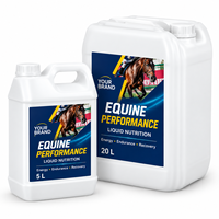 Complément liquide pour chevaux OEM ODM avec fer et vitamines B pour l'énergie, l'endurance et la récupération post-exercice des chevaux de course 5L
