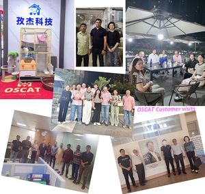 OSCAT兽医设备厂家直销不锈钢数字电子海运邮政秤200千克邮政秤 - Product Image 5