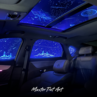 Film photoélectrique OMTD ciel étoilé pour toit de voiture, idéal pour les projets de rénovation de toits ouvrants en ateliers de tuning automobile