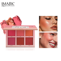 Palette de fards à joues vegan IMAGIC 6 couleurs, longue tenue, waterproof, multifonction, pigmentée, blush, illuminateur, contour, maquillage, logo personnalisé