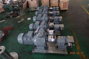 Ace Pompe à engrenages en acier inoxydable Pompe de transfert de matériaux à haute viscosité Pompe à lobes sanitaire pour lait et fromage - Product Image 5