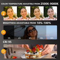 Lampe d'appoint portable à clip avec miroir, anneau lumineux magnétique pour selfie, compatible MagSafe iPhone