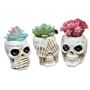 Maceta con diseño de calavera pastoral, sin motivos decorativos, para suculentas, decoración para el hogar y exteriores, de resina sintética - Product Image 1