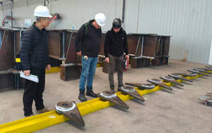 Rinforzi Integrati per Pavimenti e Rinforzanti per Condizioni di Carico Localizzato ad Alta Intensità - Product Image 3