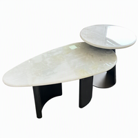 Table Basse Moderne Design en Pierre de Jade Naturelle avec Pieds Noirs Mats pour Salon - Offre Spéciale