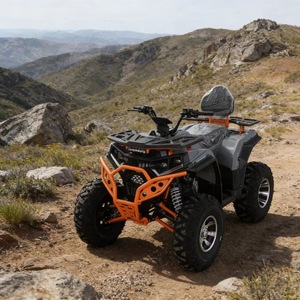 Kart fuoristrada 200CC a catena, quattro tempi, a benzina, per <span class=keywords><strong>montagna</strong></span>/spiaggia, con velocità massima di 80 km/h - Product Image 3