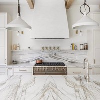 Dalle de marbre KINGS-WING Dione Spider, pierre personnalisée, blanc chinois, carrelage de salon, table à manger de luxe, design de sol moderne, marbre