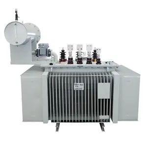Transformateur de puissance haute tension refroidi à l'huile 1000kva 23KV/800v usine chimique intérieure/extérieure philippine