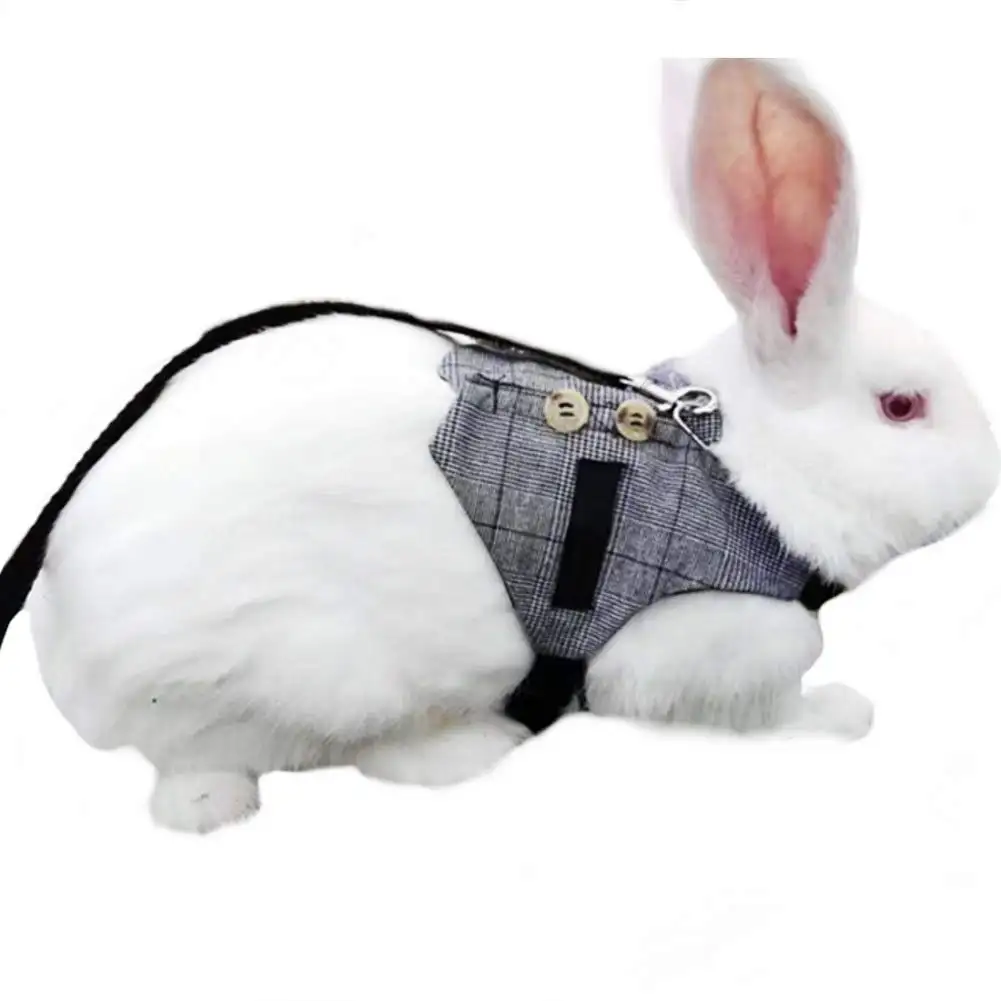 Manufacturer Wholesale small animal clothes rabbit harness and leash set formal suit adjustable for small animal walking