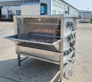 Machine automatique de plumeuse de volailles pour poulets et canards, usage commercial, pour l'abattage des cailles - Product Image 3