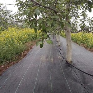 Tapis <span class=keywords><strong>anti</strong></span>-mauvaises herbes carré pour la protection des arbres, barrière <span class=keywords><strong>anti</strong></span>-herbe, tissu de jardinage, couverture de sol pour la protection des racines - Product Image 3