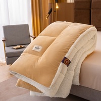 HongYa Modern 100% Polyester Écologique Anti-Bactéries Four Seasons Quilt-Portable Home & Travel Use