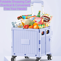 CHIYE Chariot de courses pliable à quatre roues en plastique pour supermarché, grand espace, mini chariot pliable pour le camping