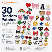 Lot de 30 écussons brodés écologiques aléatoires à thermocoller, motifs de dessins animés mignons pour vêtements, chapeaux, sacs à dos, appliques DIY, vente en gros