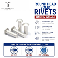 TianFang Rivets Pleins Fer Nickelé Frappe à Froid Tête Ronde pour Joints Structurels | 100 PCS MOQ | RoHS