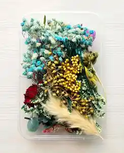 Mescolare fiori secchi pianta piante secche fiori pressati fare artigianato accessori fai da te T1435-1