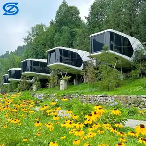 Prix d'usine Maison préfabriquée moderne de luxe Villa de 40 pieds avec cuisine Maisons préfabriquées Maison portable capsule spatiale