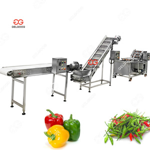 Sistema de Procesamiento de Pimientos de Alta Eficiencia, Máquina de Lavado de Frutas y Verduras con Ozono, Línea de Producción de Jugos de Frutas - Product Image 5