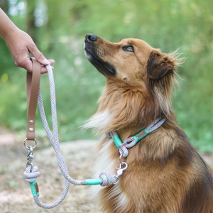 Collar de Adiestramiento para Perros, Collar de <span class=keywords><strong>Nylon</strong></span> con Cierre Deslizante, Collar Martingale Redondo Antitirones para Perros Pequeños, Medianos y Grandes - Product Image 6