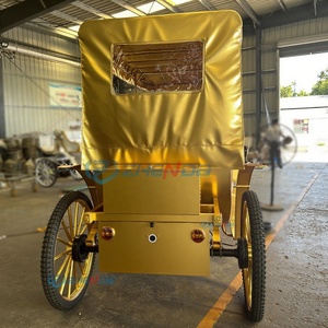 Luxury Electric Sightseeing Carriage-Customizable <b>Double</b>-Row Special Transportation for Wedding Party Events - Product Image 3