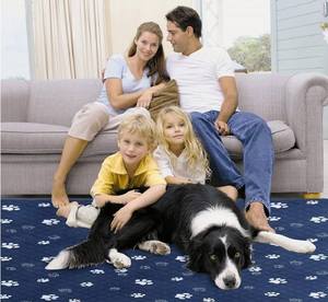 Precio bajo 100% a prueba de fugas, reutilizable, superabsorbente, antideslizante, almohadilla de entrenamiento para mascotas, entrenador de orina para cachorros y perros, suministros de entrenamiento para mascotas - Product Image 4