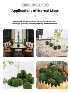 Boules <span class=keywords><strong>de</strong></span> mousse verte naturelle préservée, sphères <span class=keywords><strong>de</strong></span> mousse séchée pour la décoration <span class=keywords><strong>de</strong></span> la maison, des tables, des vases et des bols, décoration rustique, vente en gros - Product Image 4
