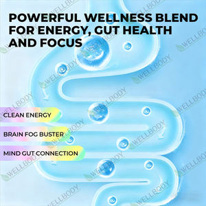 ウェルボディ OEM パケット 純粋なマテ茶エキス ピーチマンゴー風味 大人用免疫サポート インスタントマテ茶パウダー - Product Image 5