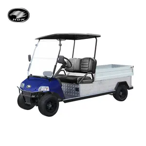 For Sale Lifted Mini Utility Vehicle With Cargo Box 48V Lithium Battery HDK Evolution Electric Golf Cart Truck