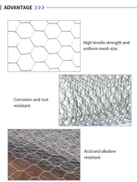 Grillage hexagonal tissé en acier à faible teneur en carbone de haute qualité, filet pour volailles, clôture pour poulets, revêtement PE/PVC, durable, découpe et soudure