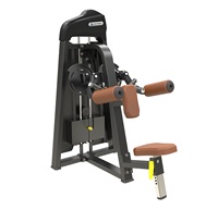 Appareil de musculation à charges réglables pour levée latérale, équipement de gym commercial, directement de l'usine, prix bas, idéal pour les salles de sport