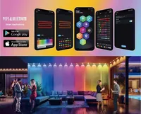 Bande LED intelligente USB IP65 SMD5050 RGB en cuivre 1m, thème jungle, effet phosphorescent, contrôle tactile à distance, films transparents ultra-fins