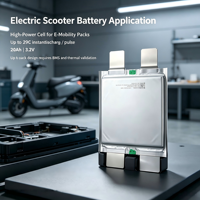 Cellule de batterie pour rickshaw électrique 20Ah 3.2V LFP Pouch 20C à faible impédance interne, 4000 cycles, longue autonomie