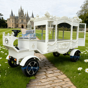 Carroza Fúnebre Eléctrica Blanca Xuchang, Carroza para Ataúdes, Vehículo de Transporte Especial con 4 Ruedas para Funerales - Product Image 6